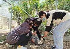 8ce1608c0a845b7df4b3d1e64c34ece5