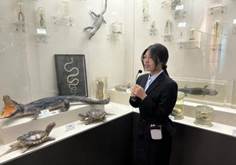 c233a58efa27c4a7bbea68ccd7f28b7b