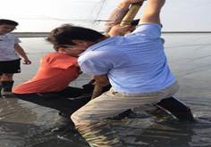 12291633f0c43e90ad7487929d075f43