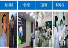 8aaae1b7e11942284b4601471cb444c9